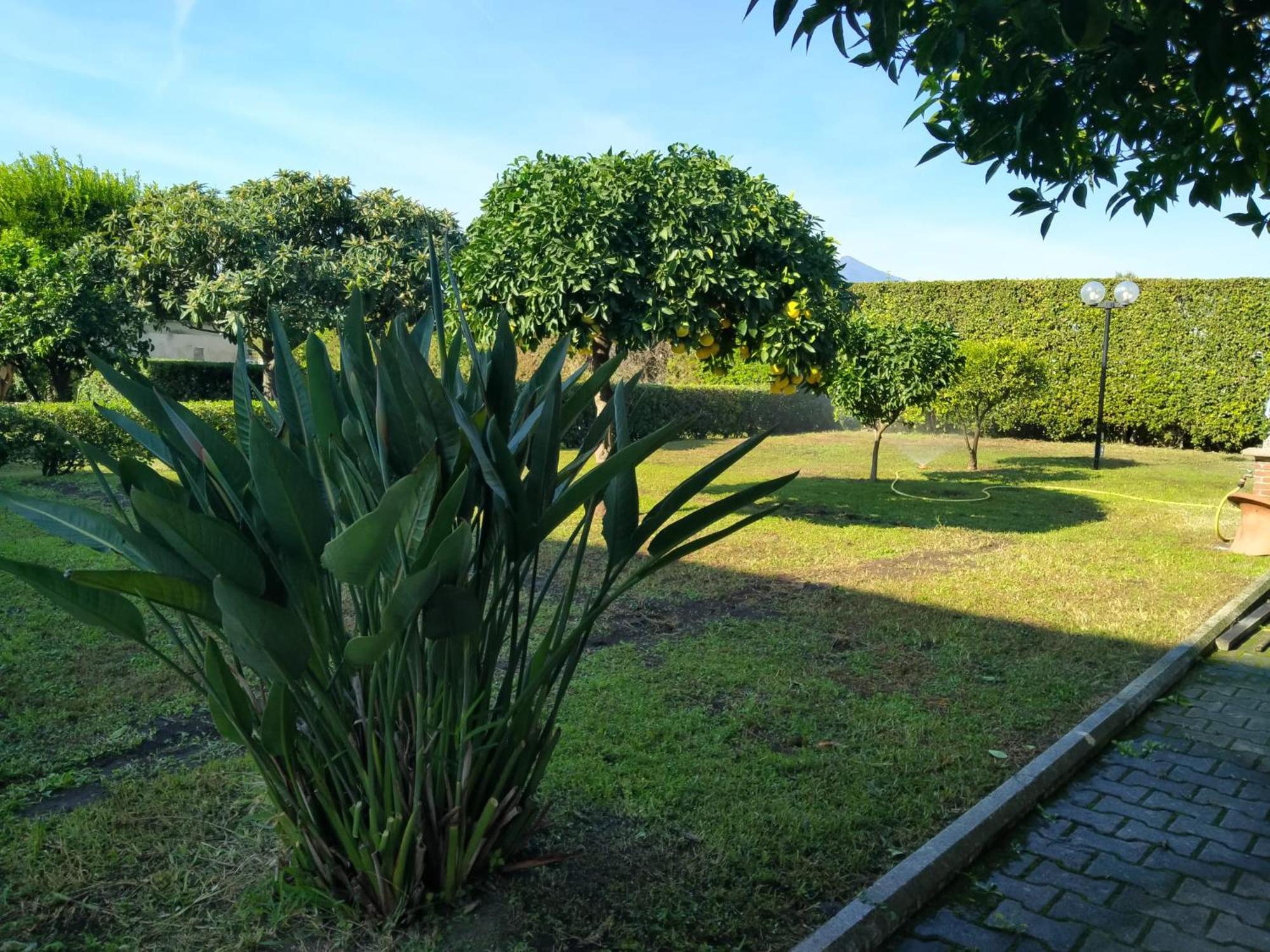 Da Ninnilla Holiday Home Scafati Zewnętrze zdjęcie